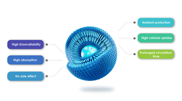 リポソーム制品の利点