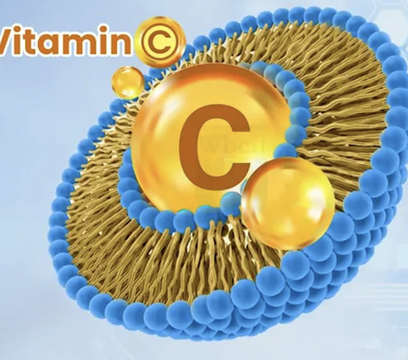 カプセル化構造
