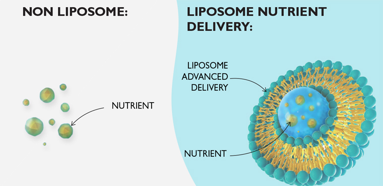 Liposomal Technologyとは何ですか?