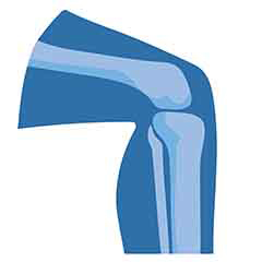 共同と骨の健康