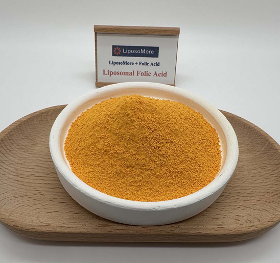 リポソームの利点 & 利点