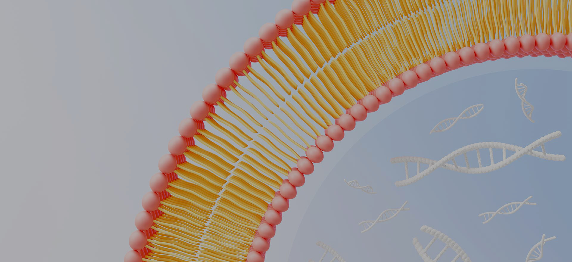 LiposoMoreをなぜ選びなさいか。