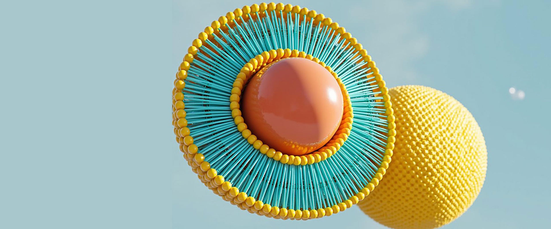 製品を作るものLiposomal?