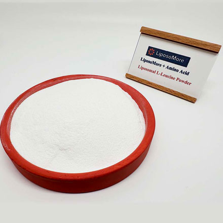 リポソームL-ロイシン