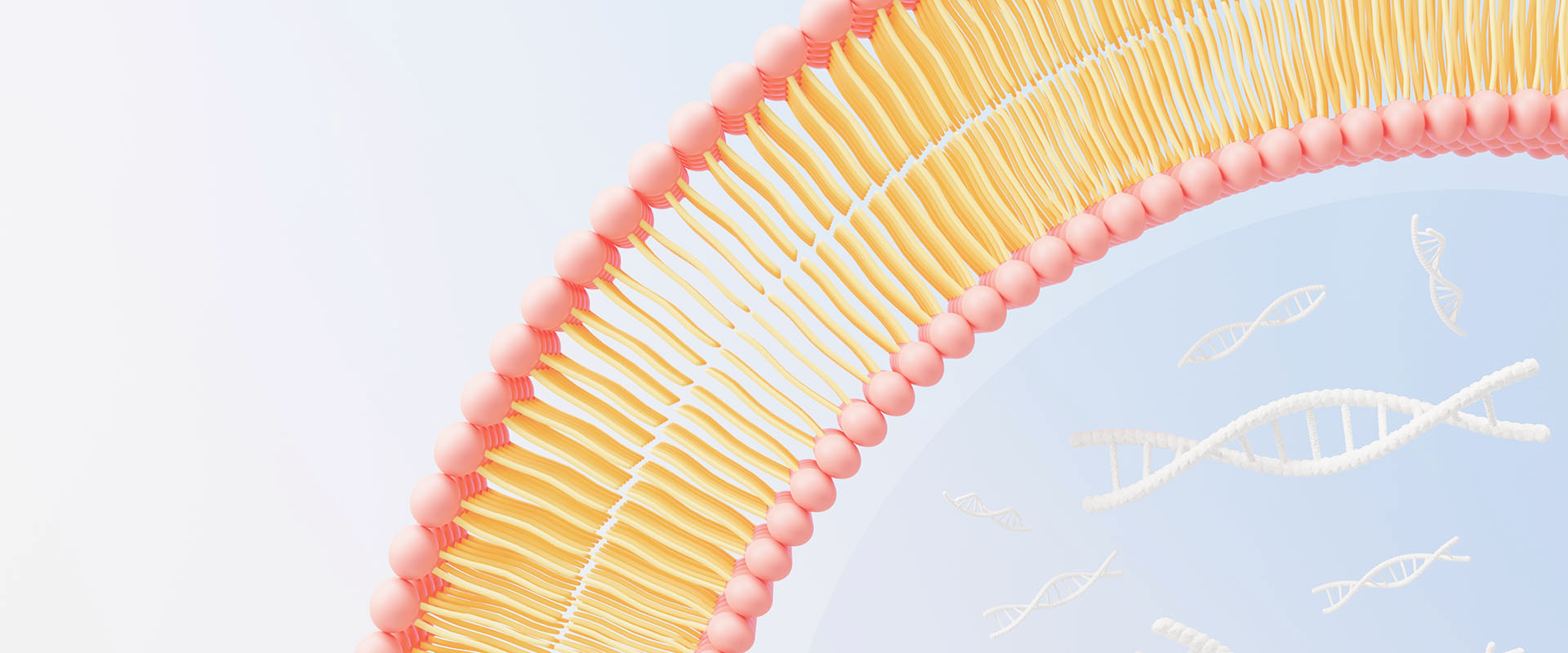 リポソームビタミンとは