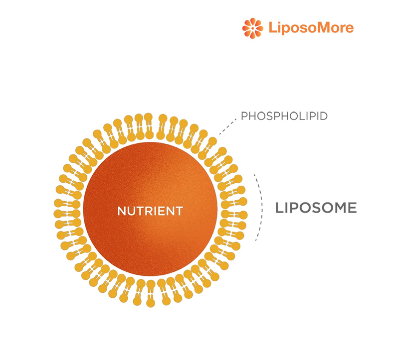 強化された成分安定性