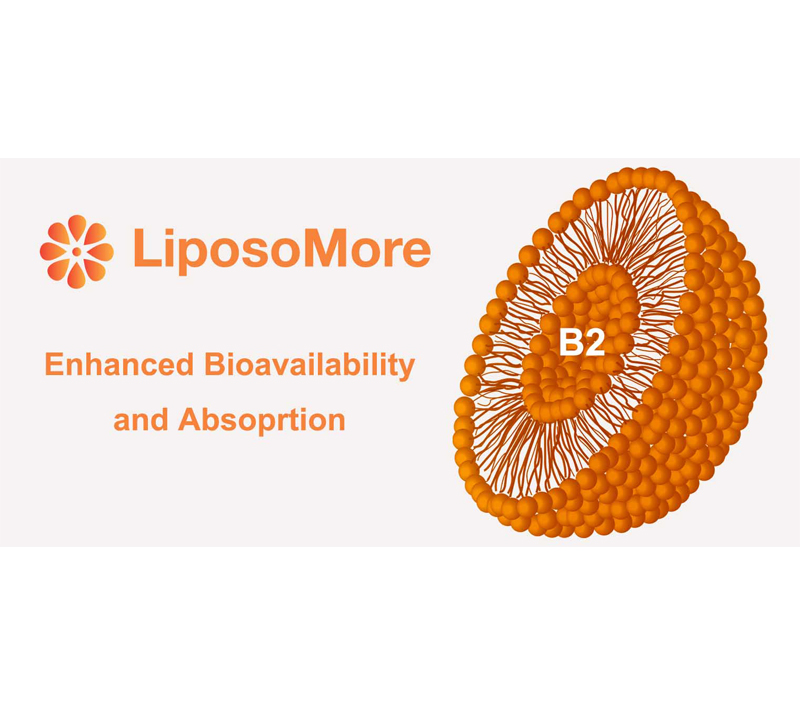 強化されたバイオアベイラビリティと吸収