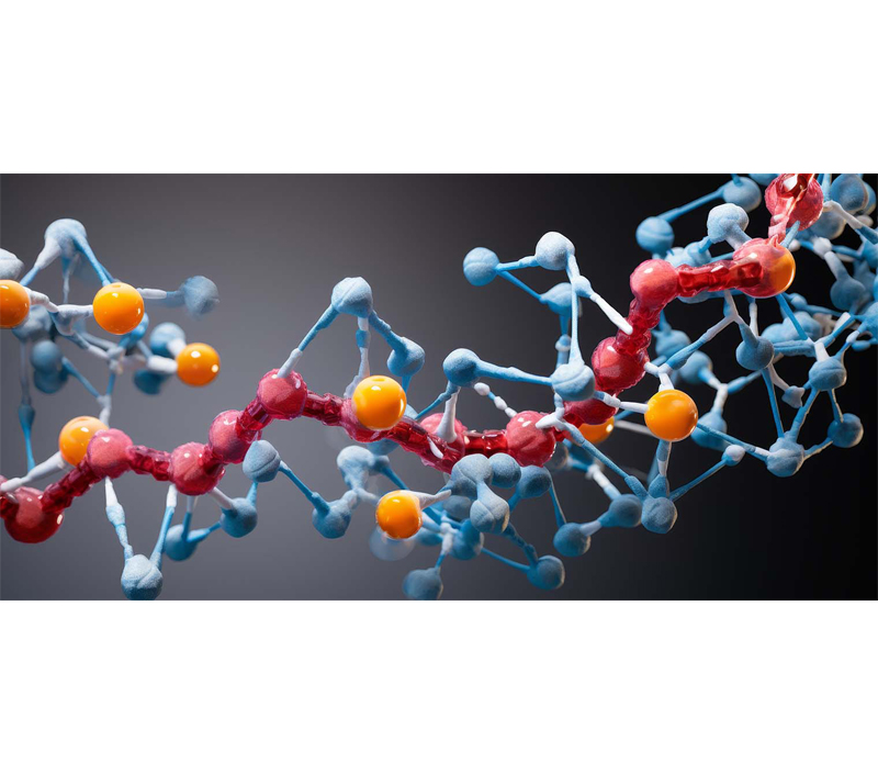 細胞代謝を強化