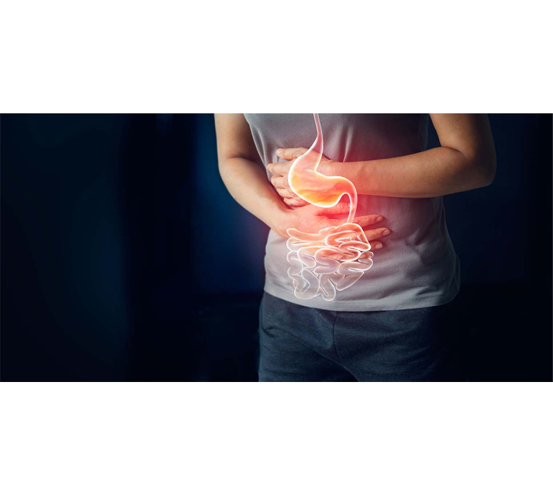 消化システムに優しい