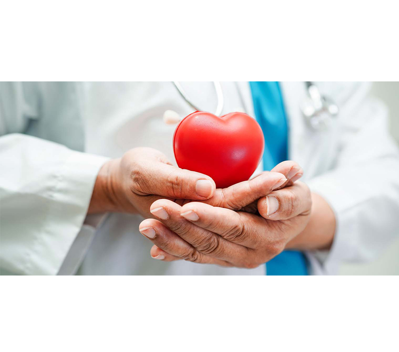 心血管の健康をサポート