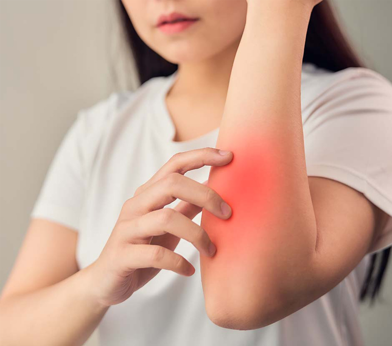 免疫機能と炎症バランス