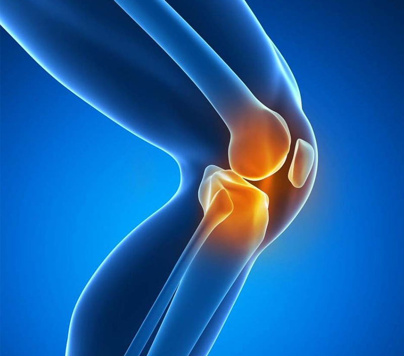 共同潤滑とモビリティの向上