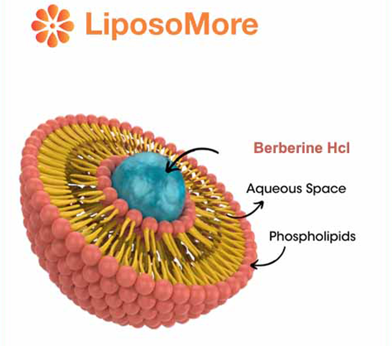 コレステロールと心血管の健康をサポート