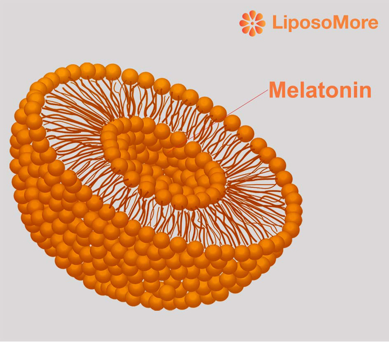 高度な栄養配送システム