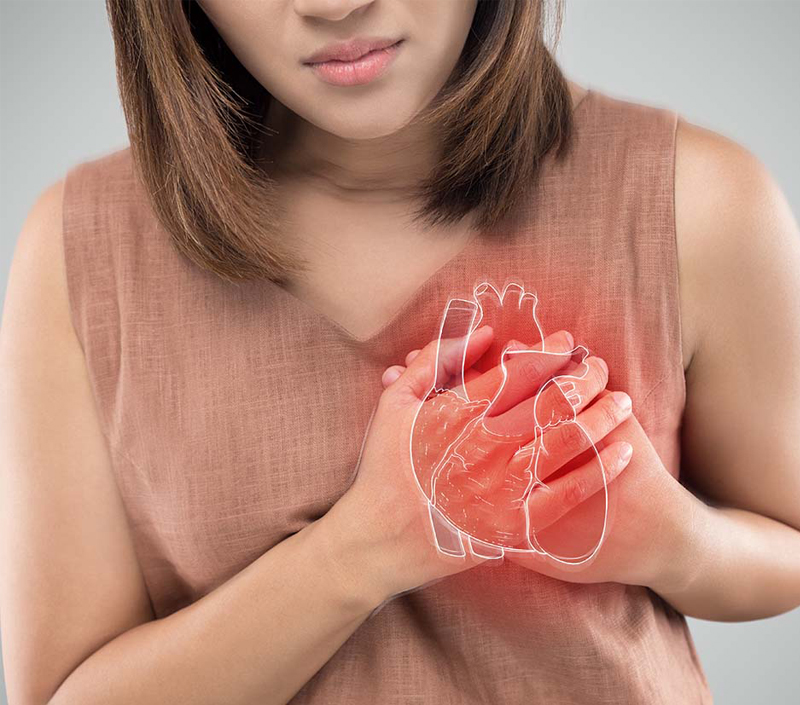 心血管および血管保護