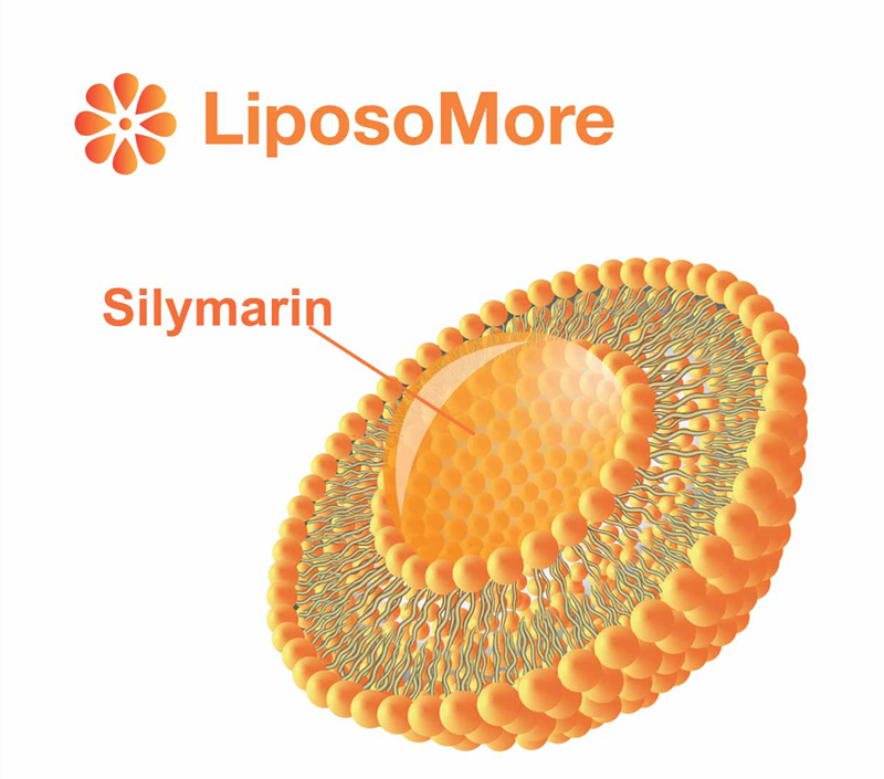 強化されたバイオアベイラビリティと細胞吸収