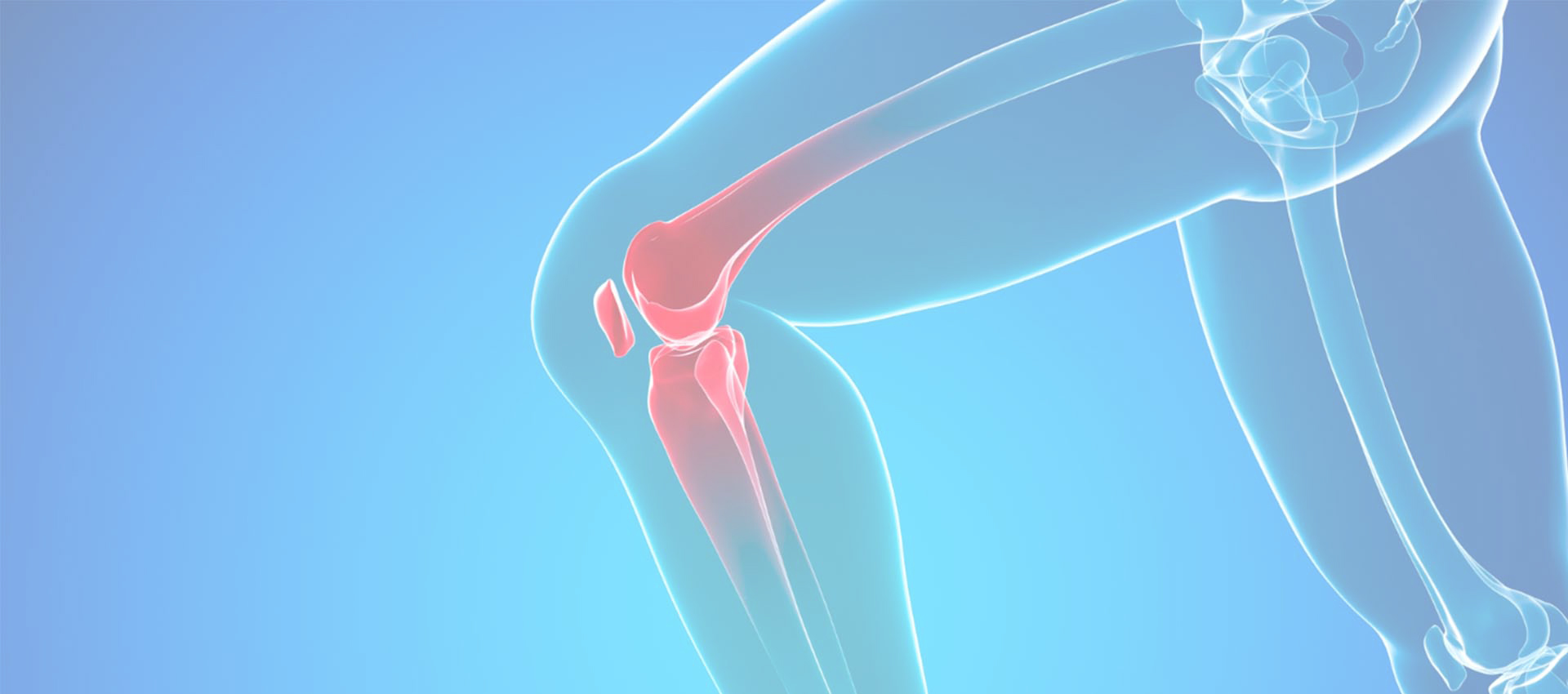 LiposomalのコラーゲンのタイプII