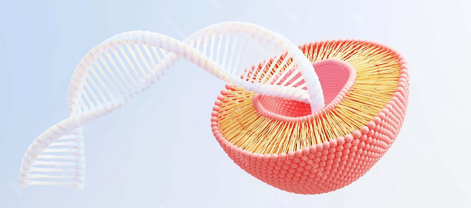 リポソーム鉄ピロリン酸塩