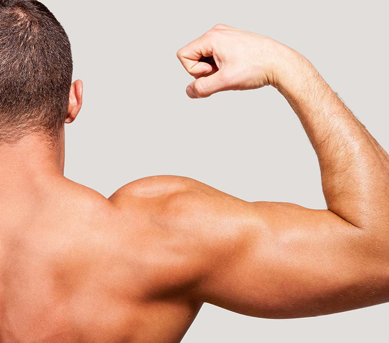 筋肉機能と物理的回復をサポート