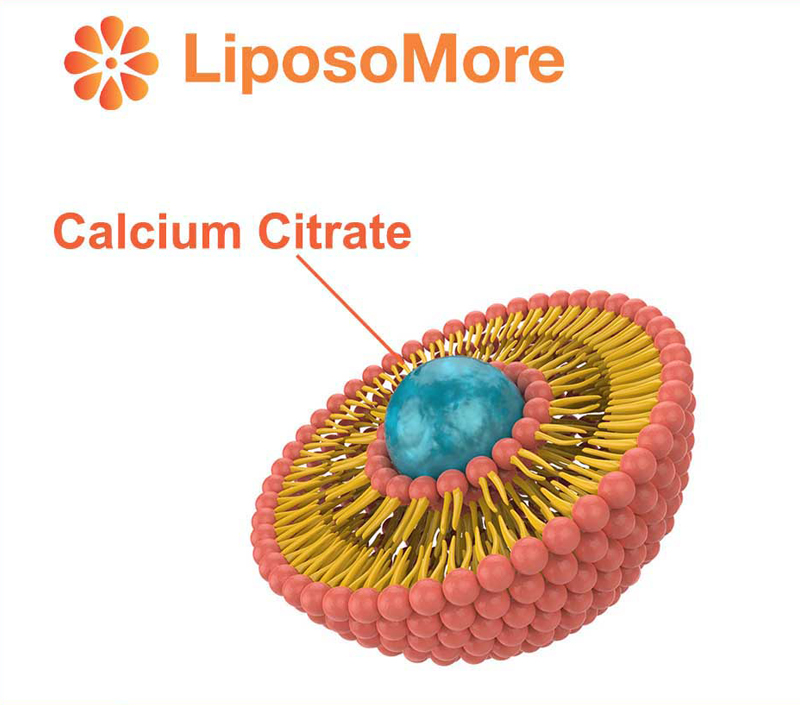 リポソームデリバリーによる優れたバイオアベイラビリティ