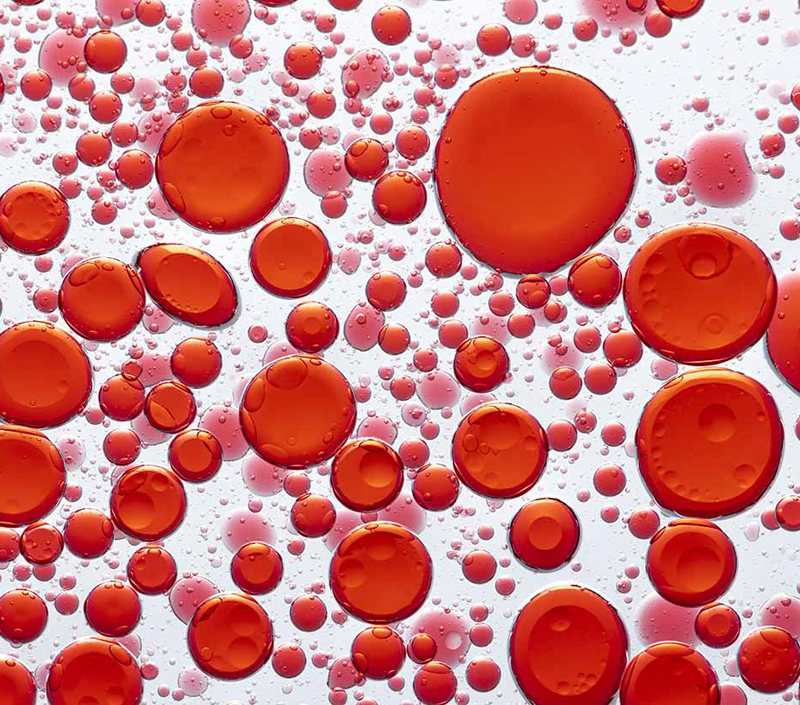 赤血球形成と酸素輸送をサポート