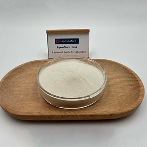 リポソーム鉄ピロリン酸塩