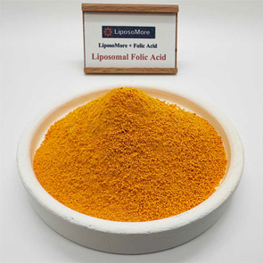 リポソーム叶酸