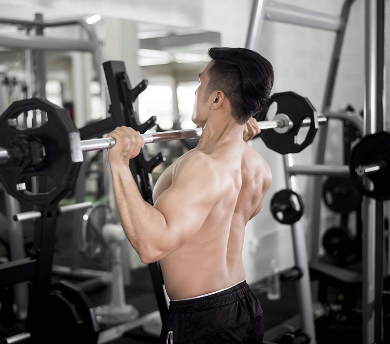 筋肉の成長と同化活動をサポート