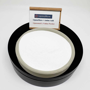 リポソームL-バリン