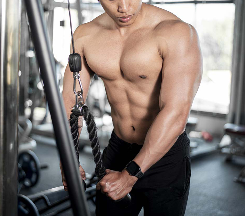 筋肉の成長と回復をサポート