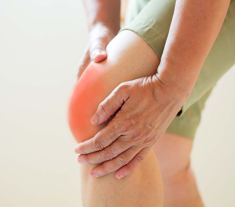 骨密度と心血管の健康をサポート