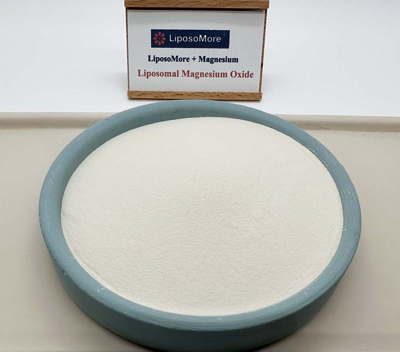 リポソーム技術による優れたマグネシウム配送