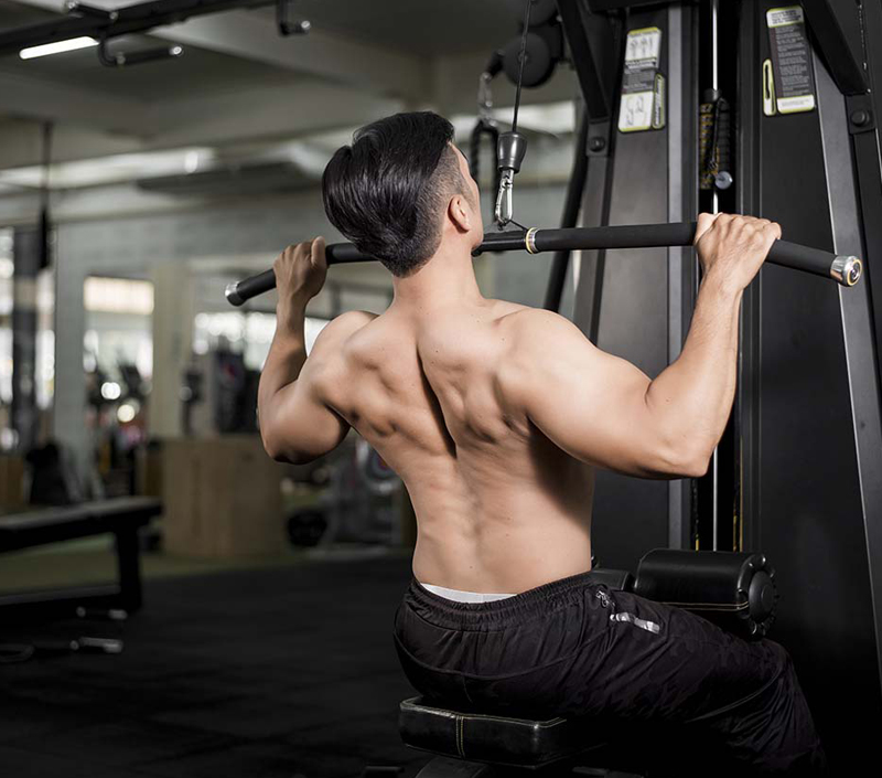 細胞および筋肉機能をサポート