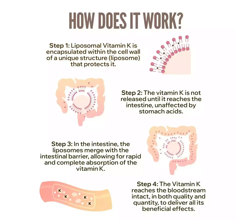 より良い吸収のための優れたバイオアベイラビリティ