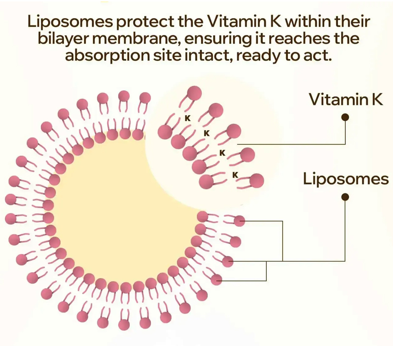 穏やかでターゲット配信