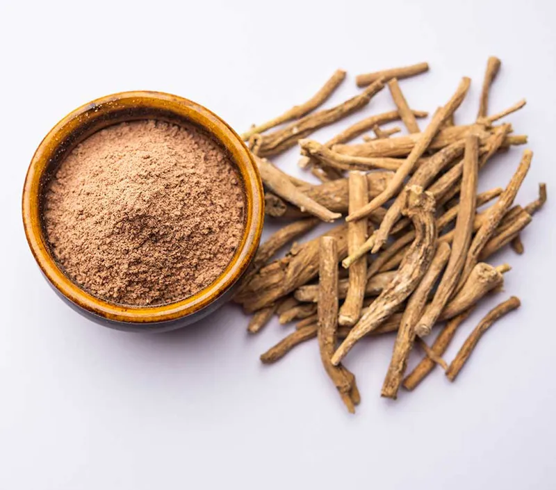 クリーンラベル、ホリスティックウェルネスアピール