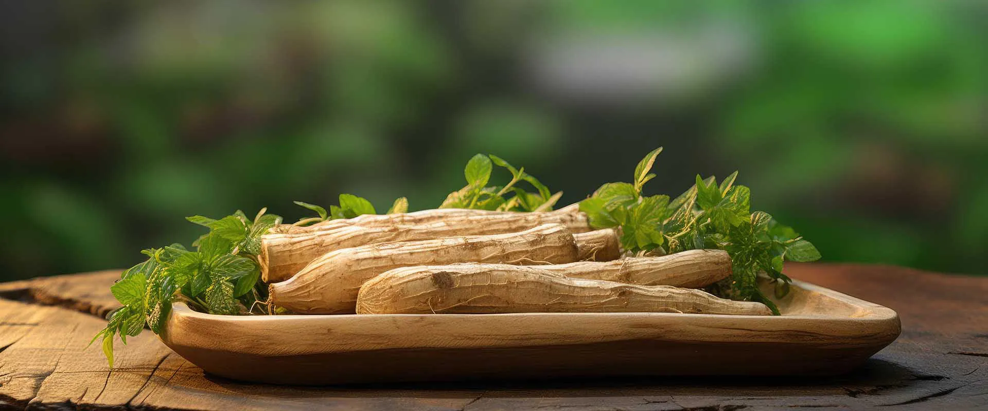 リポソームAshwagandhaの特徴