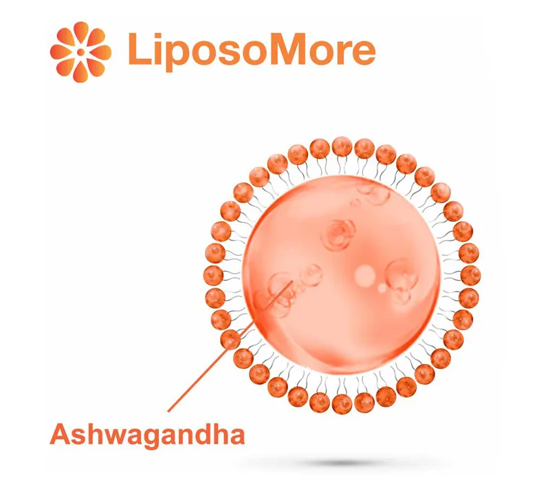 気分の向上と感情的なバランス