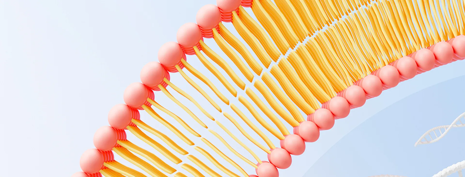 リポソーム成分メーカー