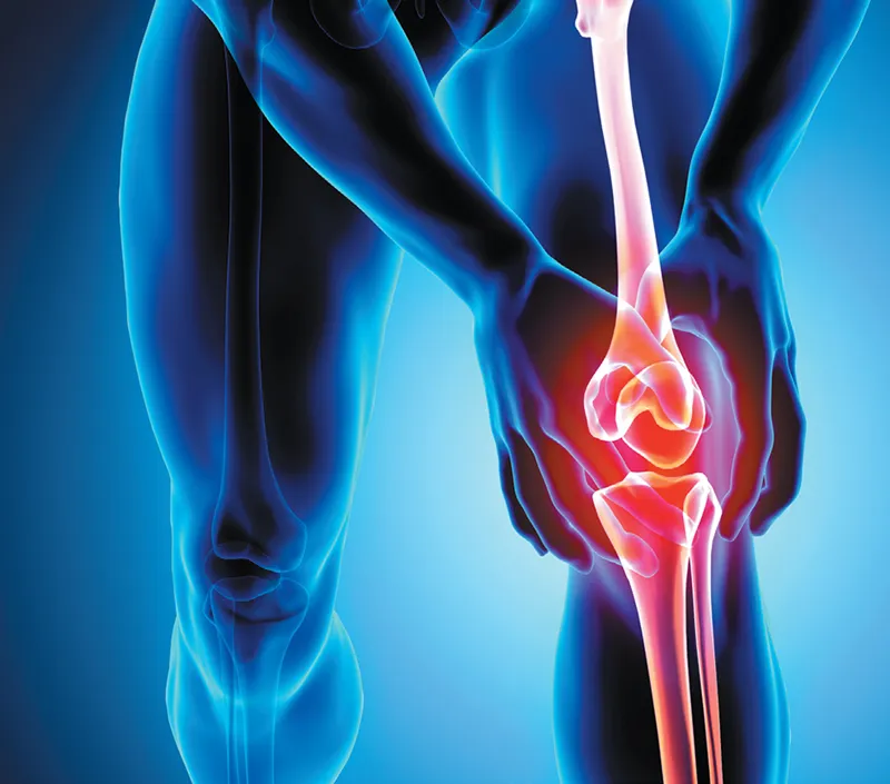 効果的な共同快適性とモビリティサポート