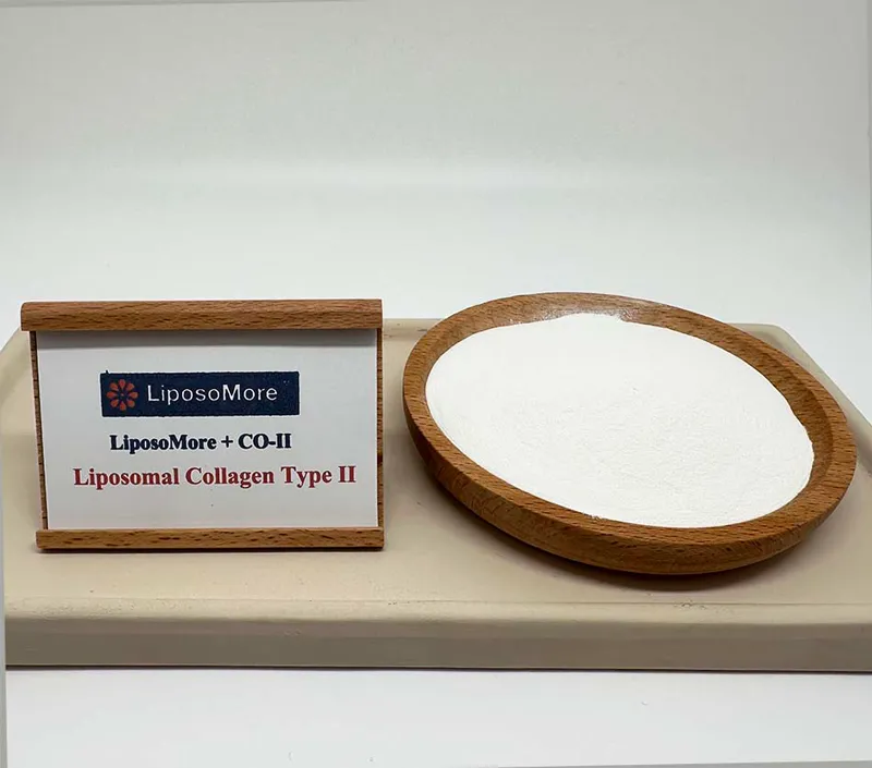 優れた軟骨サポート