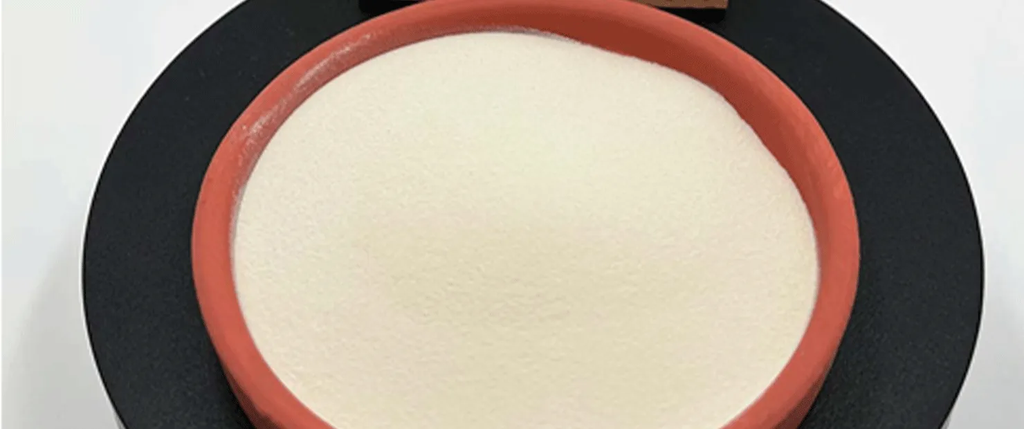 リポソーム鉄ピロリン酸ビデオ